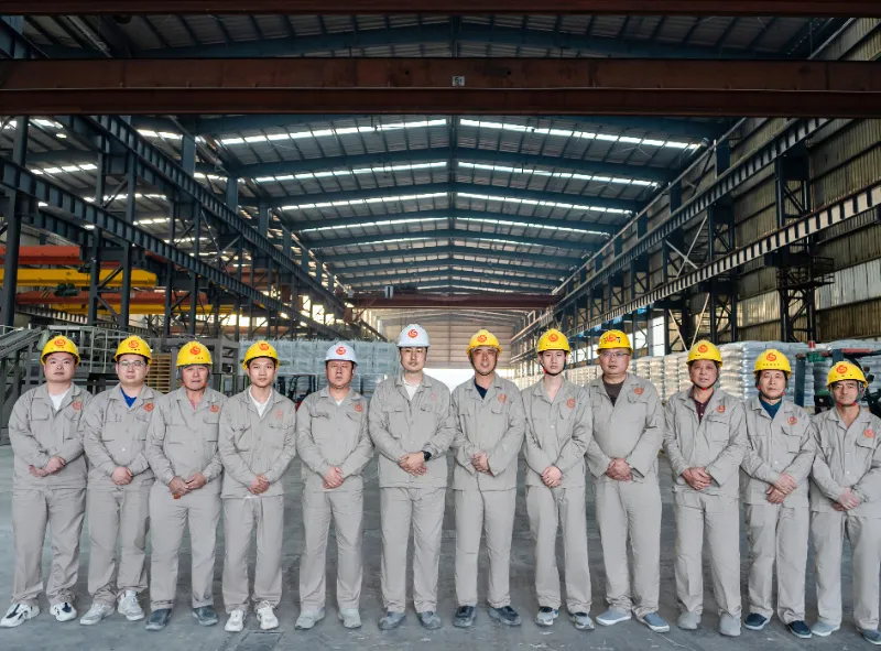 Professionnel de l'&eacute;quipe