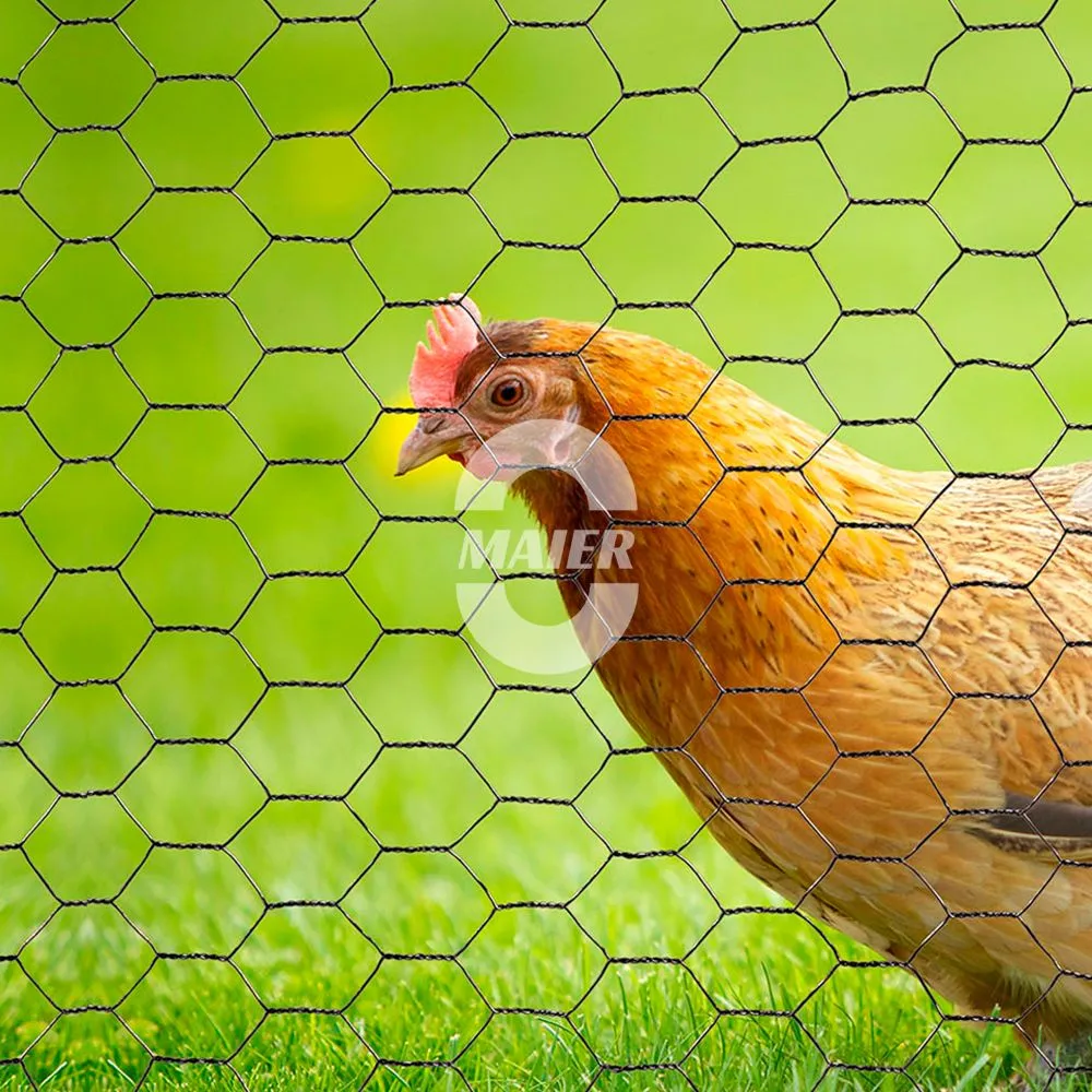 Treillis m&eacute;tallique hexagonal